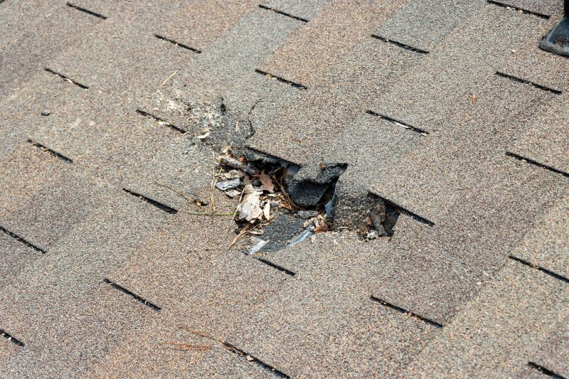 Leaky Roof Replacement in Alexandria, VA