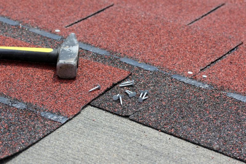 Shingle Repair and Reinforcement