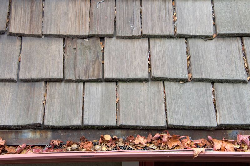 Fall Roofing
