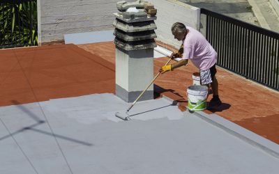 Roof Coating and Protection
